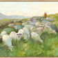 In The Care of The Shepherd