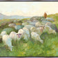 In The Care of The Shepherd