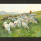 In The Care of The Shepherd