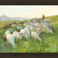 In The Care of The Shepherd