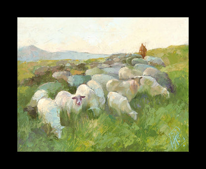 In The Care of The Shepherd