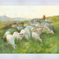 In The Care of The Shepherd