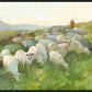 In The Care of The Shepherd