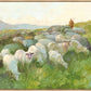 In The Care of The Shepherd
