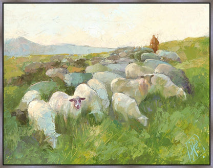 In The Care of The Shepherd
