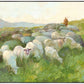 In The Care of The Shepherd