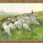 In The Care of The Shepherd