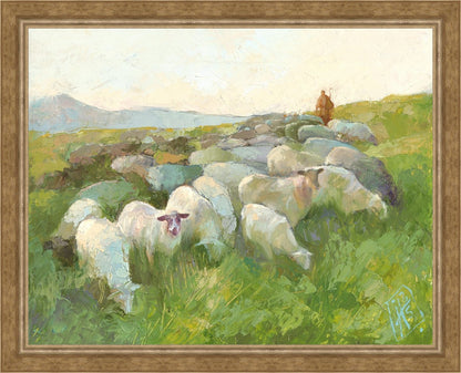 In The Care of The Shepherd