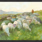 In The Care of The Shepherd