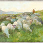 In The Care of The Shepherd