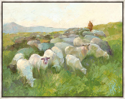 In The Care of The Shepherd