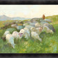 In The Care of The Shepherd
