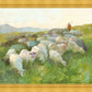 In The Care of The Shepherd