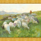 In The Care of The Shepherd