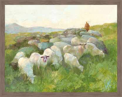 In The Care of The Shepherd