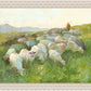 In The Care of The Shepherd