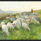 In The Care of The Shepherd