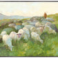 In The Care of The Shepherd