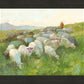In The Care of The Shepherd