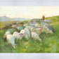 In The Care of The Shepherd