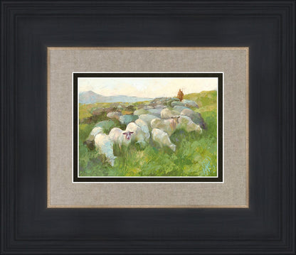 In The Care of The Shepherd