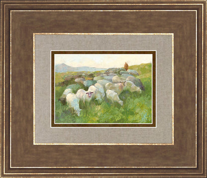 In The Care of The Shepherd