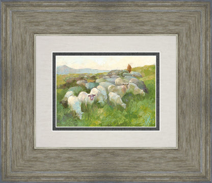 In The Care of The Shepherd