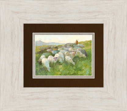 In The Care of The Shepherd