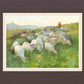 In The Care of The Shepherd