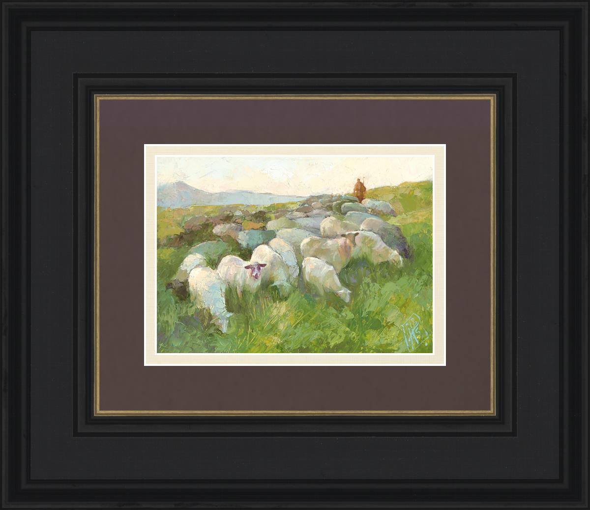 In The Care of The Shepherd