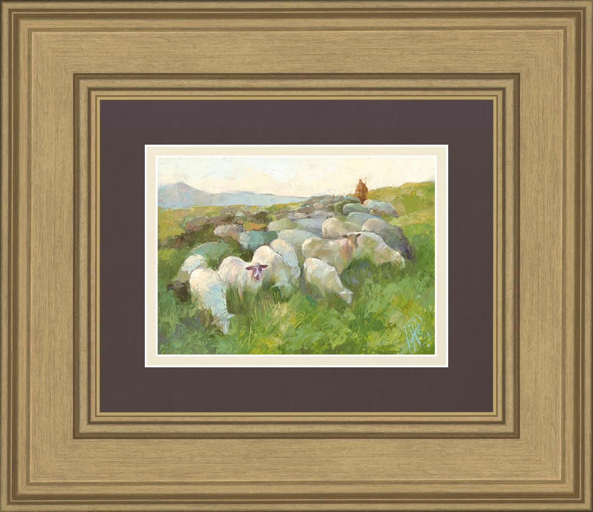 In The Care of The Shepherd