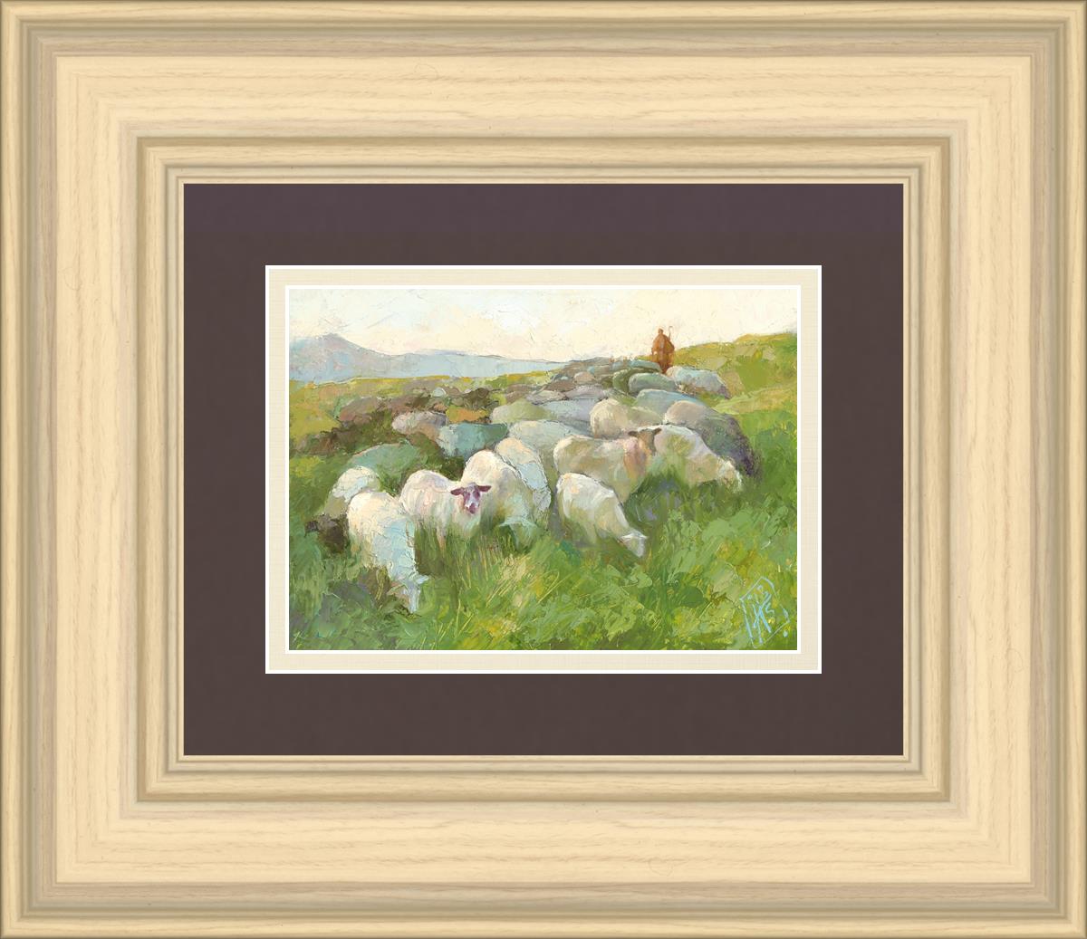 In The Care of The Shepherd