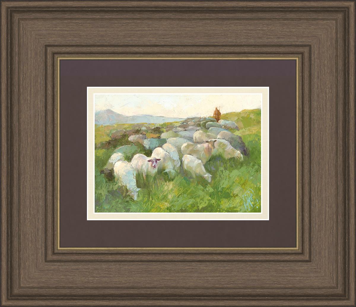 In The Care of The Shepherd