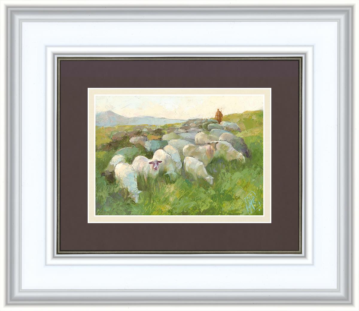 In The Care of The Shepherd