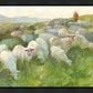 In The Care of The Shepherd