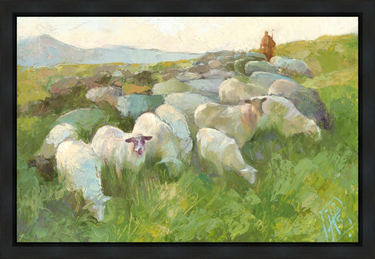 In The Care of The Shepherd Gallery Wrap