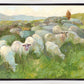 In The Care of The Shepherd