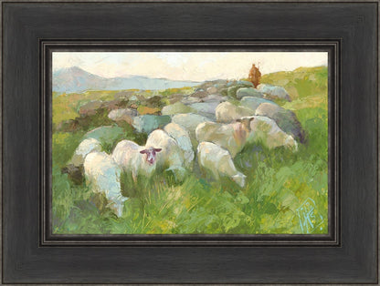 In The Care of The Shepherd