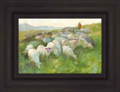 In The Care of The Shepherd
