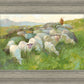 In The Care of The Shepherd