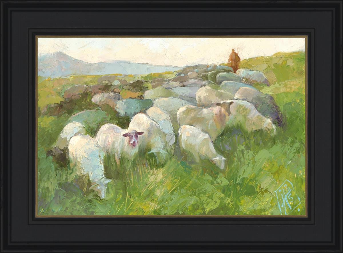 In The Care of The Shepherd