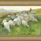 In The Care of The Shepherd