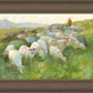 In The Care of The Shepherd