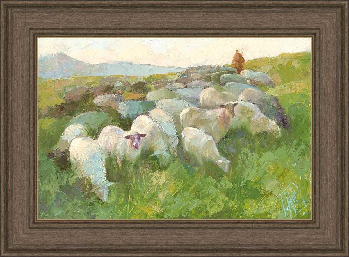 In The Care of The Shepherd