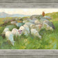 In The Care of The Shepherd