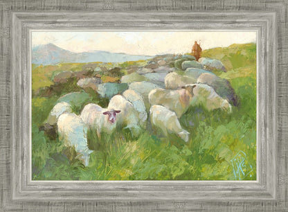 In The Care of The Shepherd