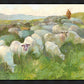 In The Care of The Shepherd