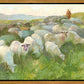 In The Care of The Shepherd