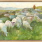 In The Care of The Shepherd