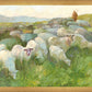 In The Care of The Shepherd